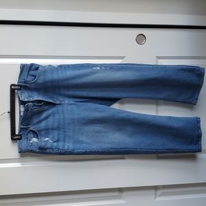 Loft, The 90's Straight, size 16 Jeans.